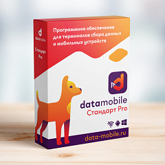 ПО DataMobile, версия Стандарт Pro во Владикавказе